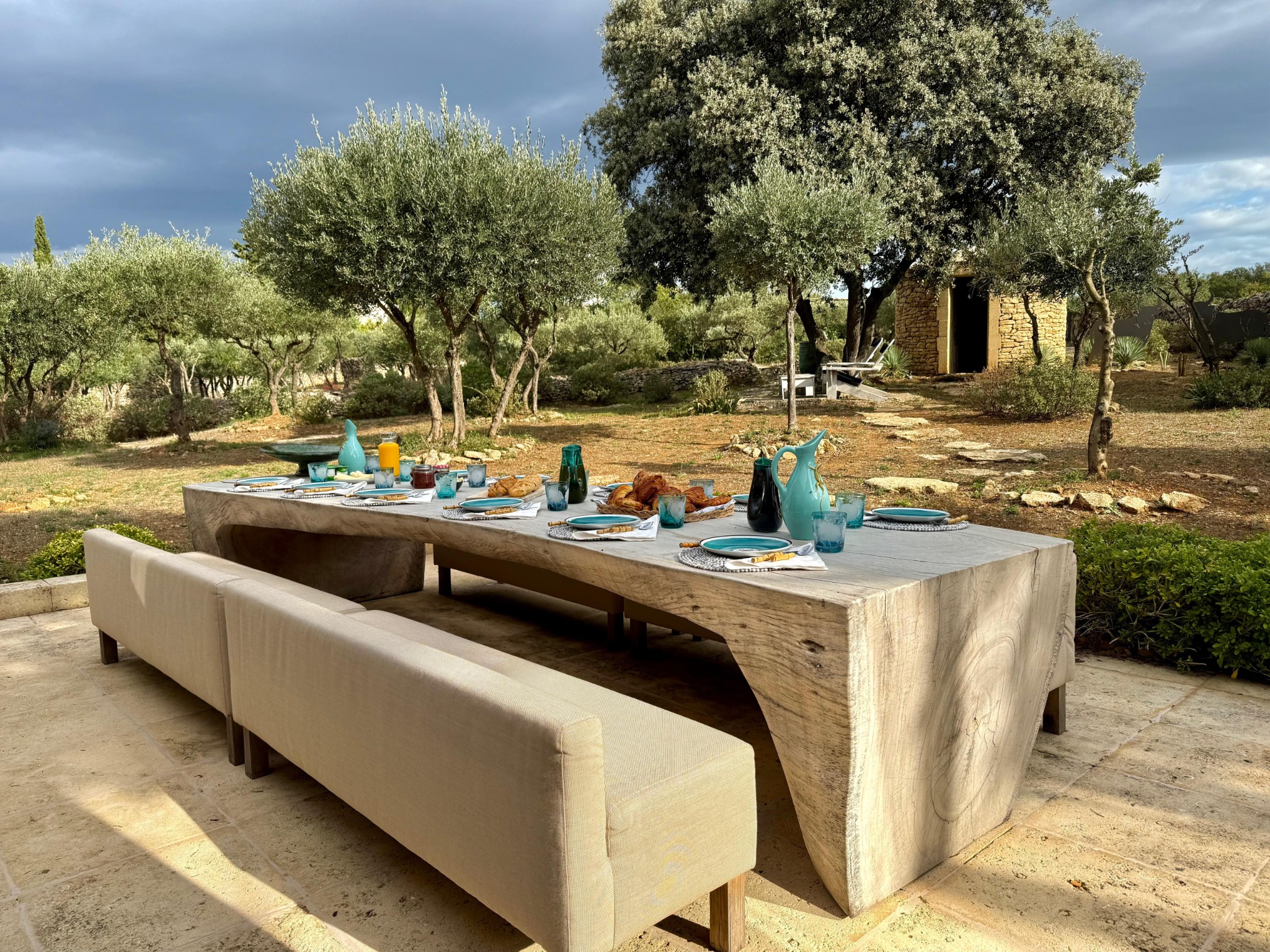 Breakfast in the olive grove