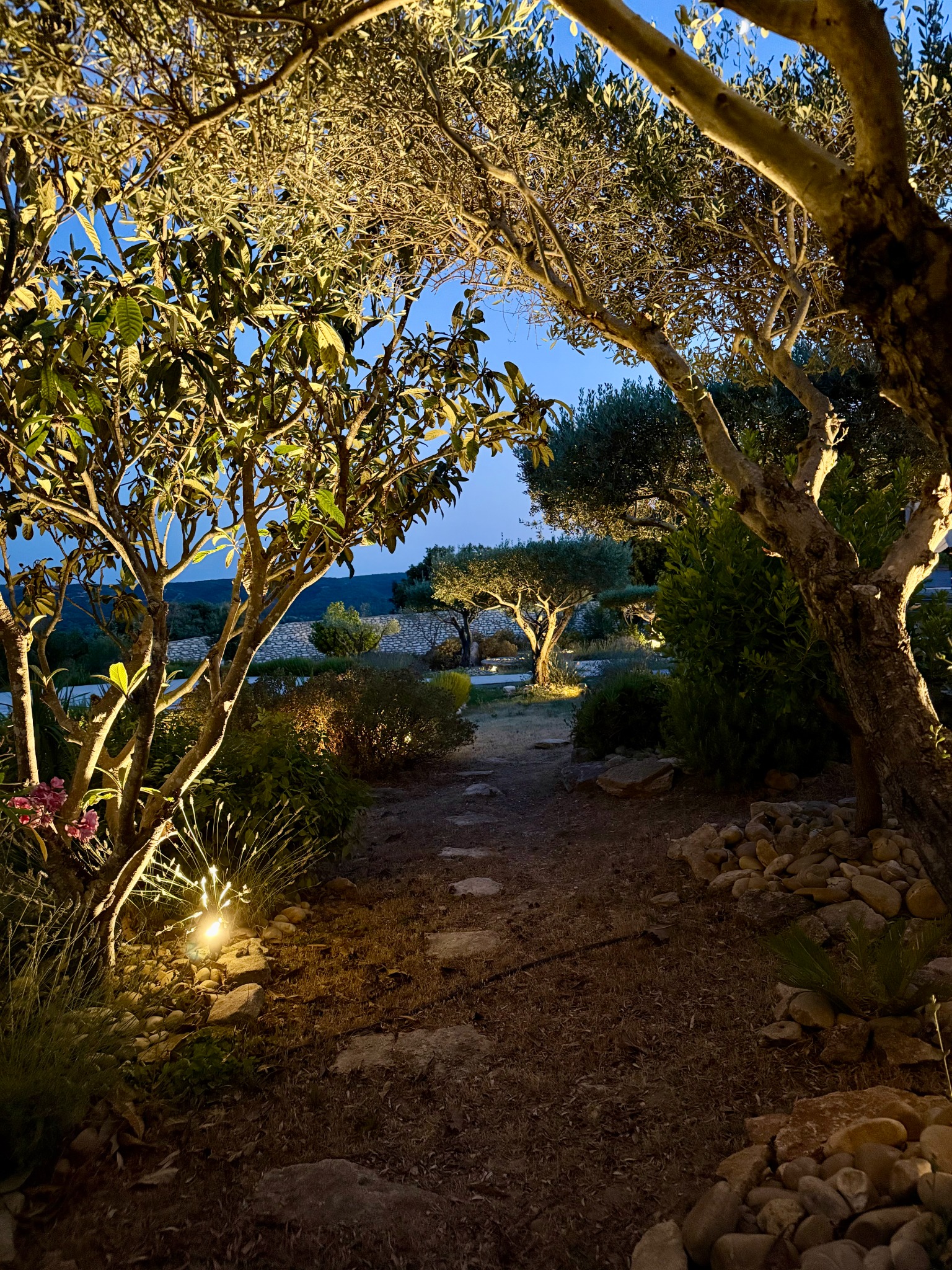 The garden glowing beneath the blue-hour sky