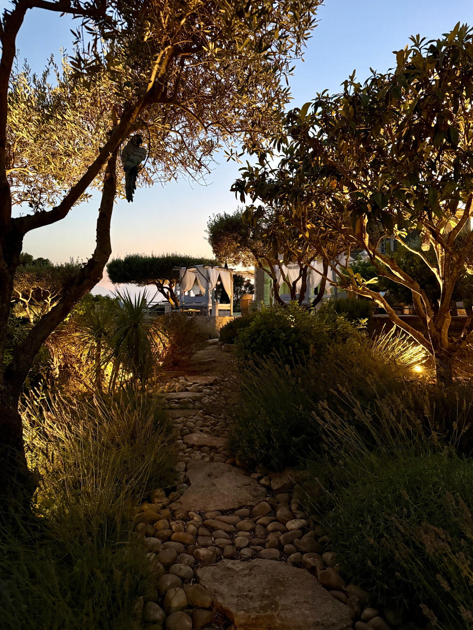 An illuminated garden path at dusk