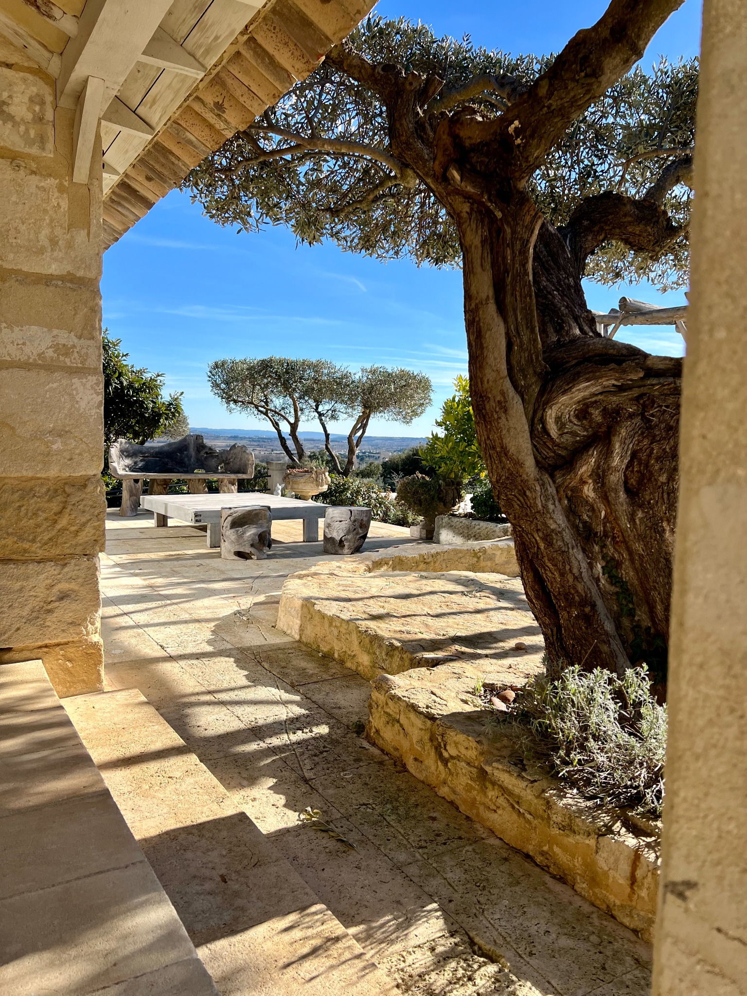 Private terrace under old olive trees